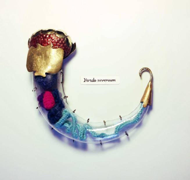 Hirudo-suveruum-Nuria-Noguera